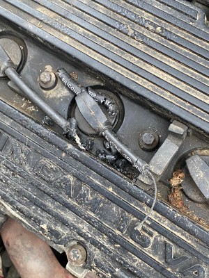 WhatsApp Image 2026-02-13 at 11.08.38.jpeg