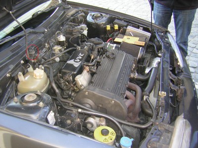 DSCN3561.JPG (332.71 KiB) Zobrazeno 4452 x DSCN3561.JPG