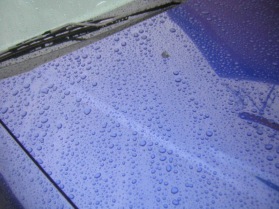 DSCN4424.JPG