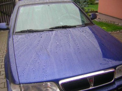 DSCN4425.JPG