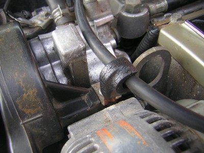 DSCN4485.JPG