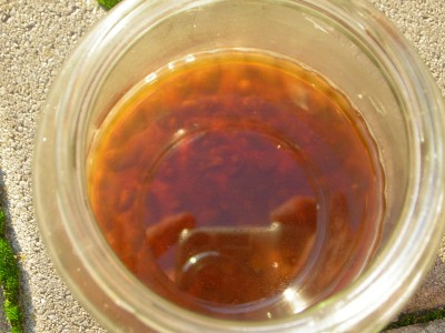 DSCN4517.JPG