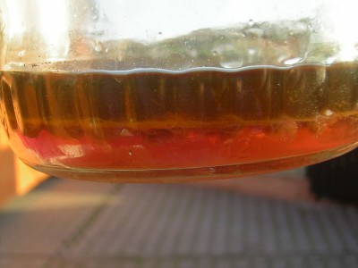 DSCN4518.JPG