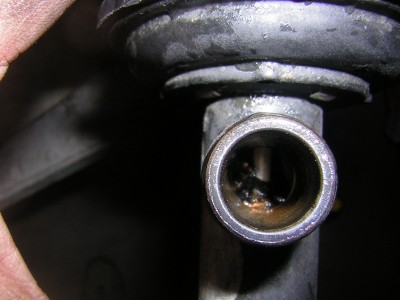 DSCN4523.JPG
