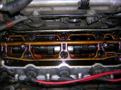 DSCN4524.JPG