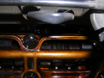 DSCN4525.JPG