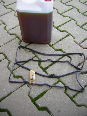 DSCN4534.JPG