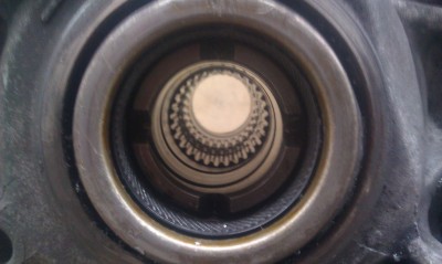 IMAG0525.jpg