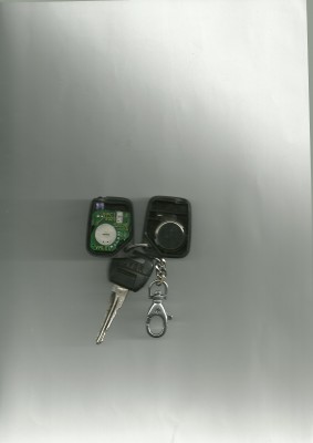 DO_Rover_620SDi_1995.JPG