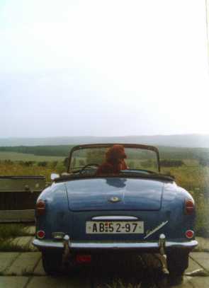 photo.jpg