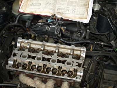 P4145145.JPG