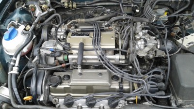 20150418_112905.jpg